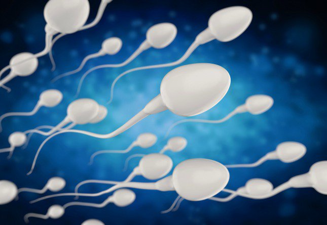 Dear Mark: Why are Male Fertility and Testoster...
crwd.fr/2wfCjf3