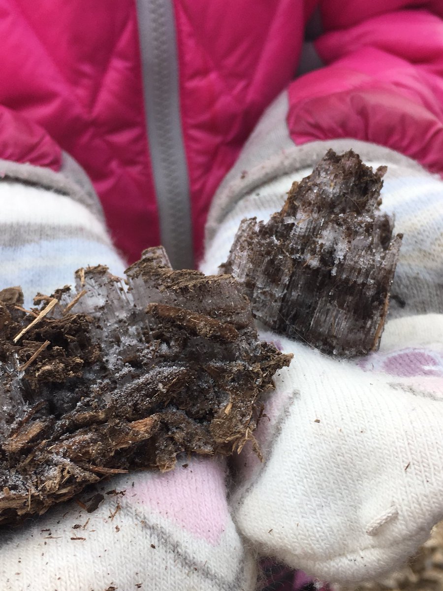 IRE_ELL's tweet photo. Thrilling finds at recess!  Who knew ice crystals could look like this? #learningandgrowing @ireDCSD https://t.co/LdVkFlYtut