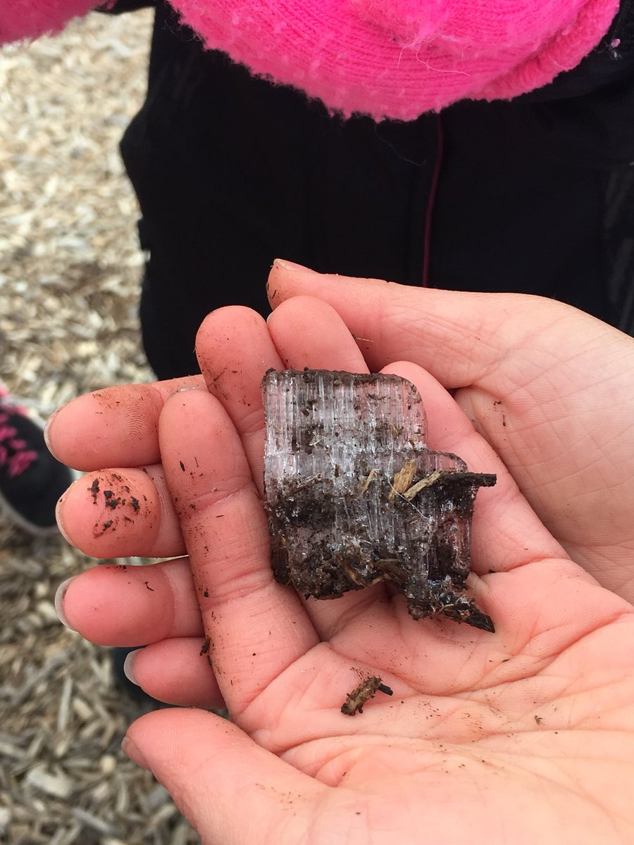 IRE_ELL's tweet photo. Thrilling finds at recess!  Who knew ice crystals could look like this? #learningandgrowing @ireDCSD https://t.co/LdVkFlYtut
