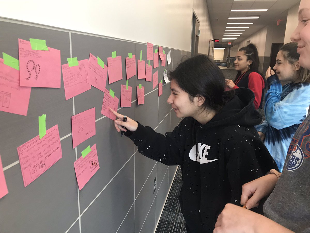 baumel_dawn's tweet image. 7th Scientists @HofiusKISD posting their Tabletop Tweets @lead4wardsci for adaptations #soaringinscience