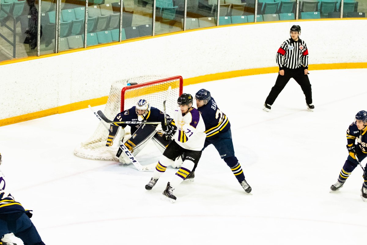 WLUAthletics's tweet photo. HAPPY FRIDAY so that means it's #PhotoFeatureFriday! This week, W🏀 &amp; M🏀 played Brock while M🏒 took the ice and faced off against Windsor! Great week Golden Hawks #WeAreHAWKS 💜💛 
📸 : Ev Ou, Mathusan Srimurugan, Charity Matheson https://t.co/szW73aCoBr