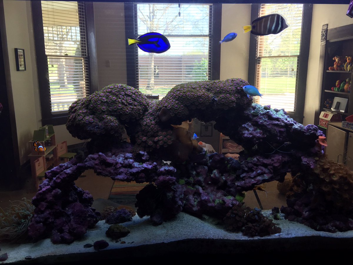 We are so excited for our Fish Tank Fundraiser at <a href="/ScratchNorman/">Scratch Norman</a>. Tickets are limited and going fast - get yours today before they are gone! eventbrite.com/e/leadership-n…