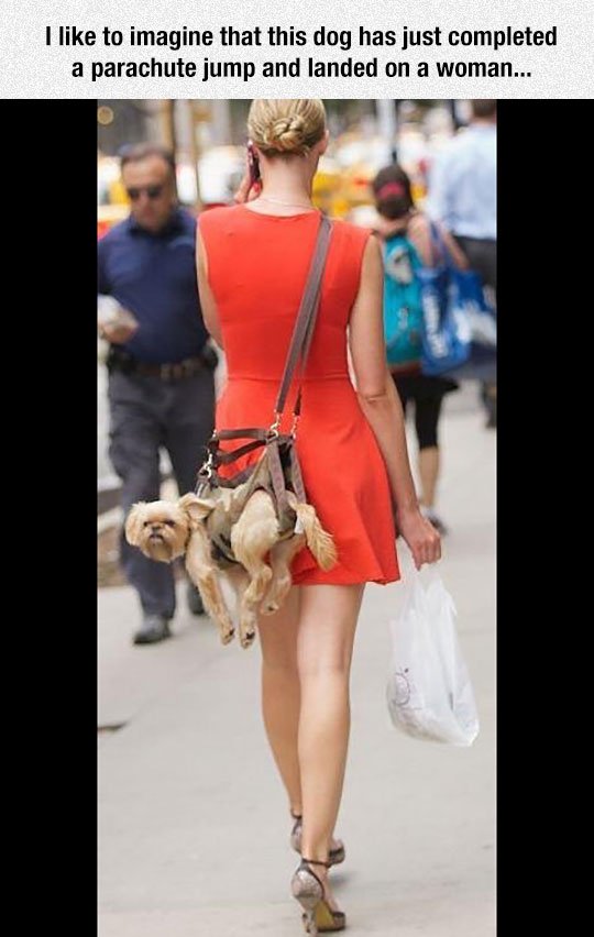 Best Funny Picture Of Today                                                                                        #FunniestTweets #humorous #humour #humorNegro #Memes #Hillariousmemes