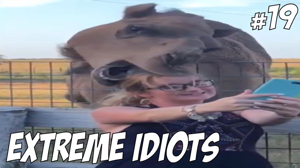 XTREME IDIOTS 
youtu.be/FD2JEG5ESoA 

Harvey Barnes
Fine to Flush
Cesc Fabregas
#Funkel
#BVBFEY
#S04KRC
#PrinceKyungsooDay
#Dschungelcamp
Patrioten
Partei
Kaaris
#PrinceKyungsooDay
Annonce Fabregas
#Libero
#terroni
#Foodora
#耳をすませば
#RIDEONTIME
#jojo_anime
#GHDUO11E