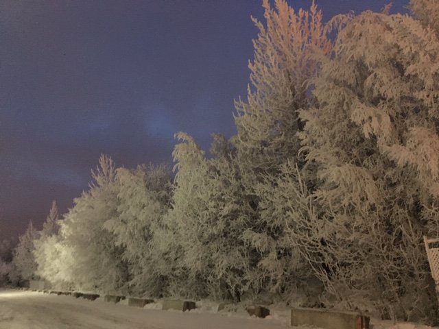 GoldenNorthVan's tweet photo. The view right outside our warehouse. #chilly #Alaska https://t.co/zqAp2wDIzg