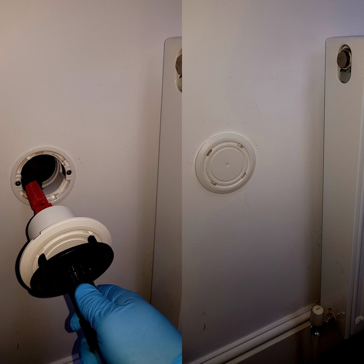 AreaPestControl's tweet image. Another install of a wall bait station.
#ratinfestation #ratsinthewall #ratpestcontrol