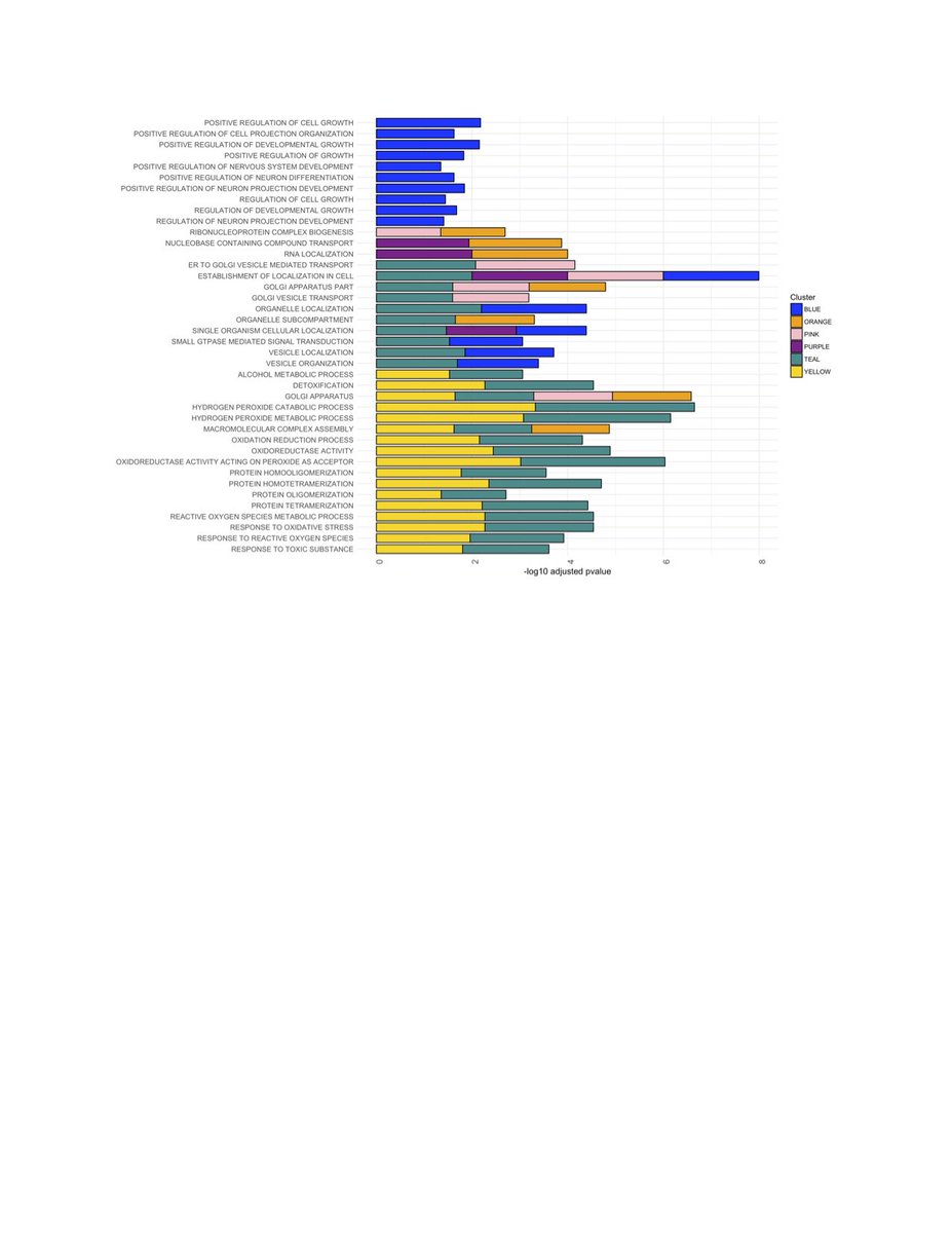 Rahul Desikan tweet media