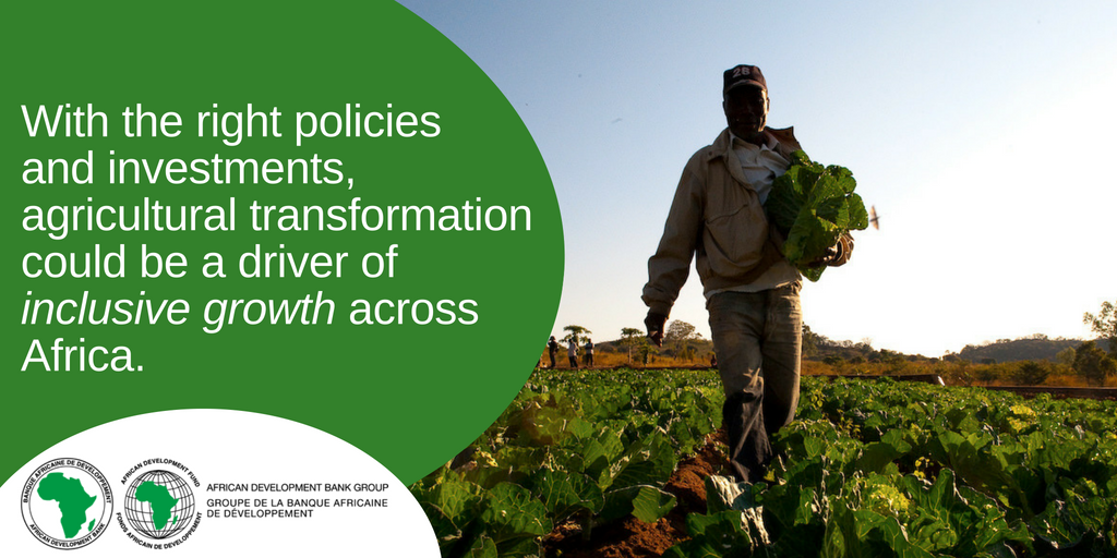 AfDB_Group's tweet photo. Nearly two-thirds of #Africa’s workers are in agriculture🌱 Moving them from traditional farming into commercial agriculture and #agribusiness is a 🔑step for reducing #poverty, creating #jobs &amp; enhancing #foodsecurity.

RT if you agree! https://t.co/1eq60Lf3LQ