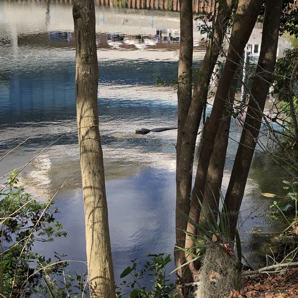 You know, everybody is present at the first week of the semester.