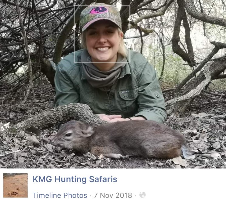 This pretty little Blue Duiker certainly did not deserve to die at the hands of this pathetic coward. Another monster with a heart of stone. 😒
<a href="/Protect_Wldlife/">PROTECT ALL WILDLIFE</a> <a href="/rickygervais/">Ricky Gervais</a> <a href="/PeterEgan6/">Peter Egan</a>