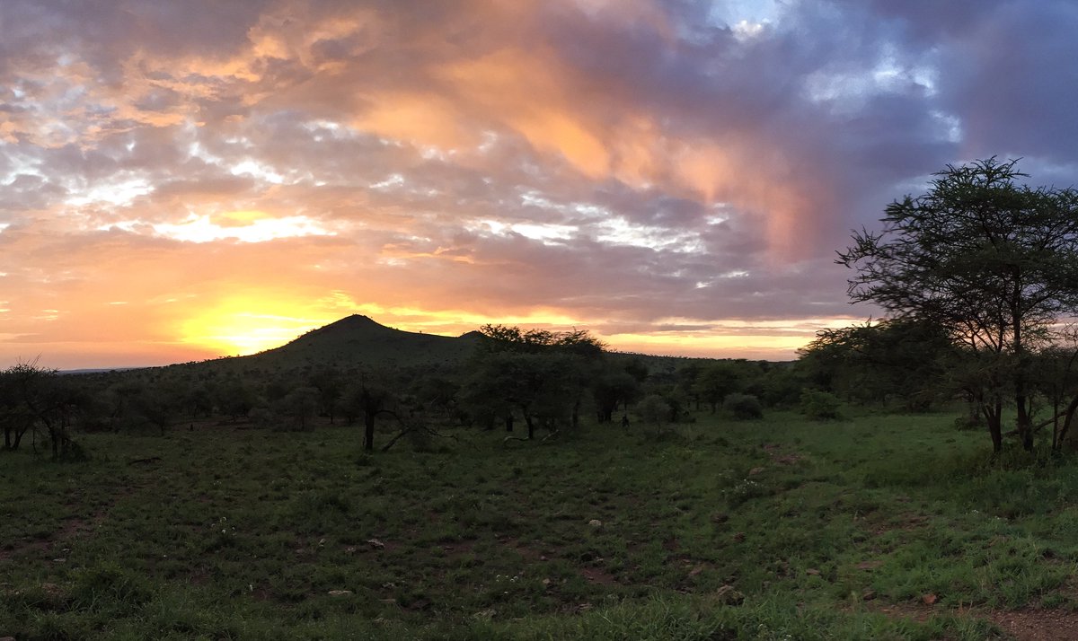 Chimeratravel's tweet photo. I've been inspired by light and sunrises this week, so for today's travel inspiration, here's a sunrise over the #Serengeti in #Tanzania while on #safari. https://t.co/vz3RlgQ2zB