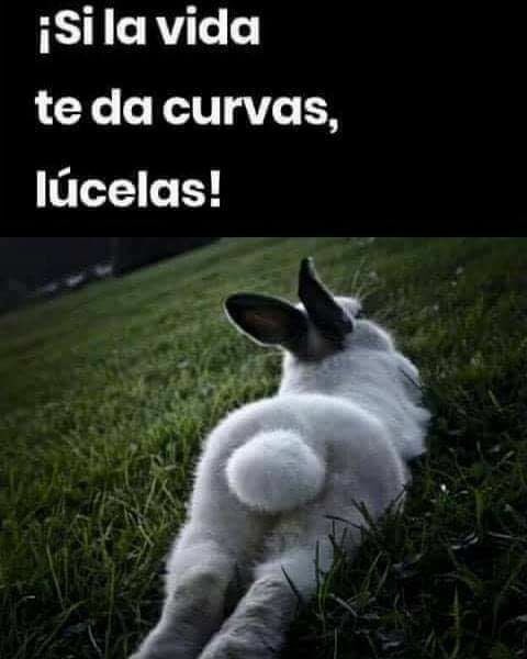 la_mas_negrita's tweet photo. #Lucelas 😜 https://t.co/xGltpbkyRq