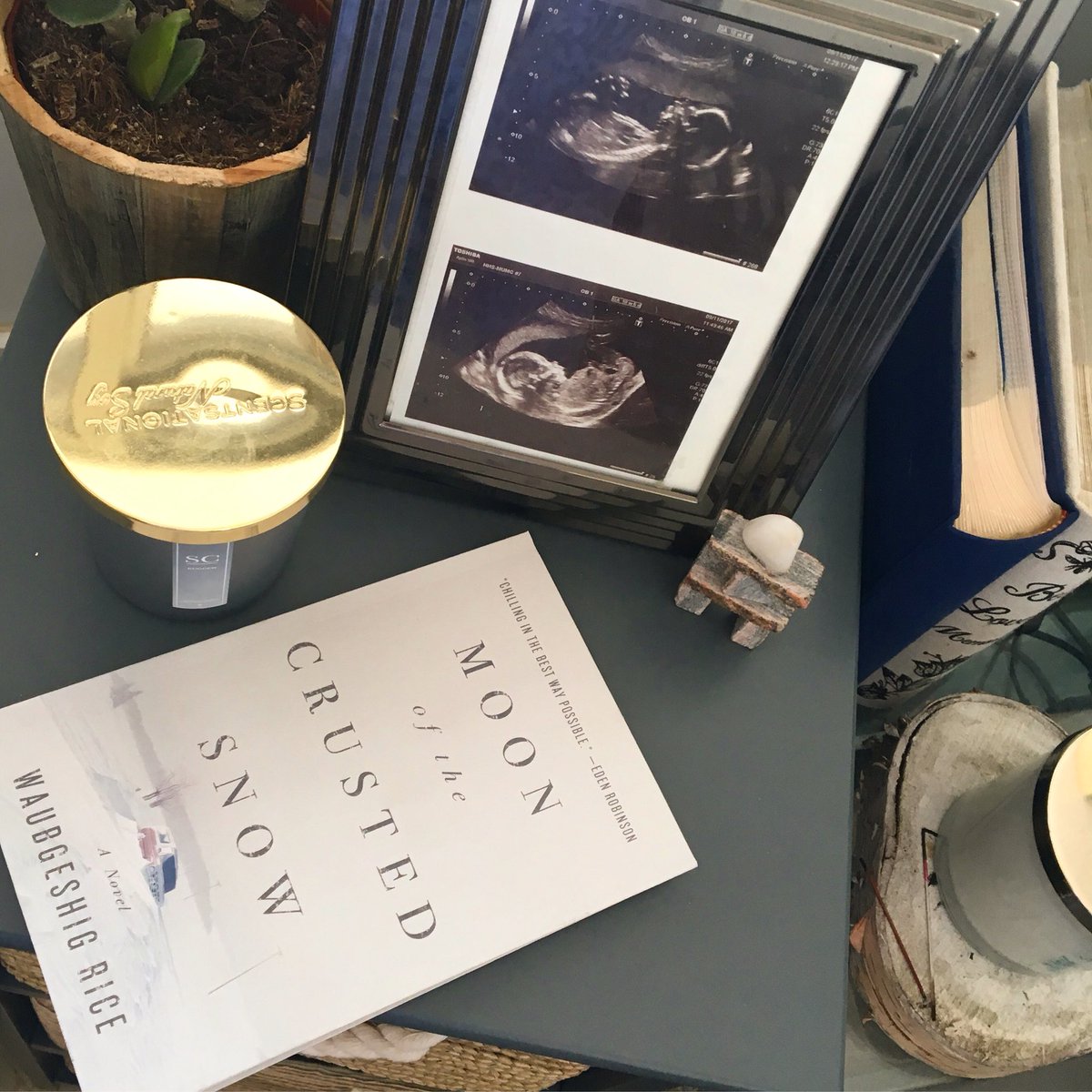 neecheekwe's tweet image. Congratulations to @waub for his new book #moonofthecrustedsnow 💕✨🦅 Excited to have this book apart of my #nativereads collection