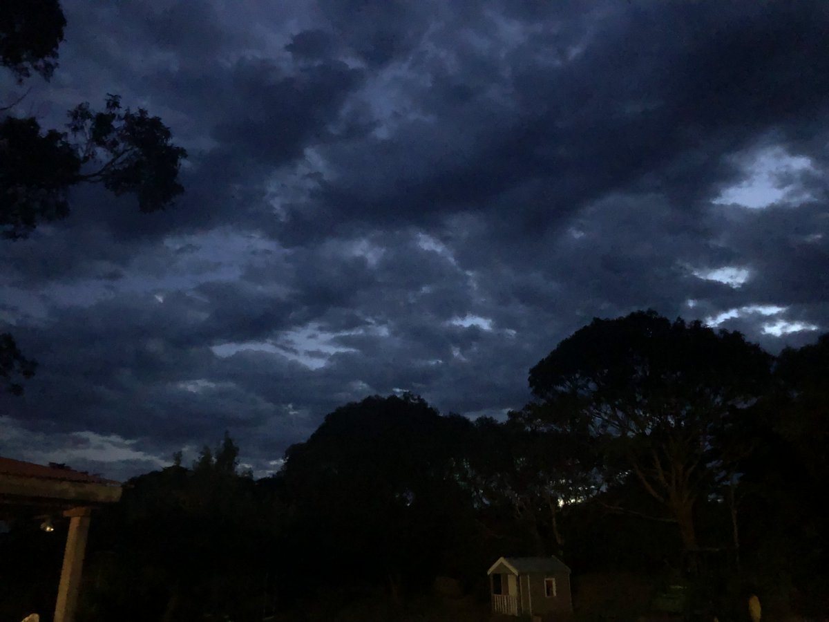 Richard J Frankland tweet media