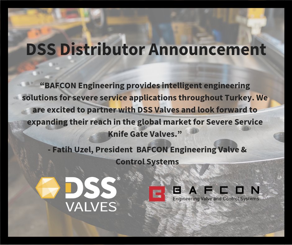DSS Valves on Twitter: 
