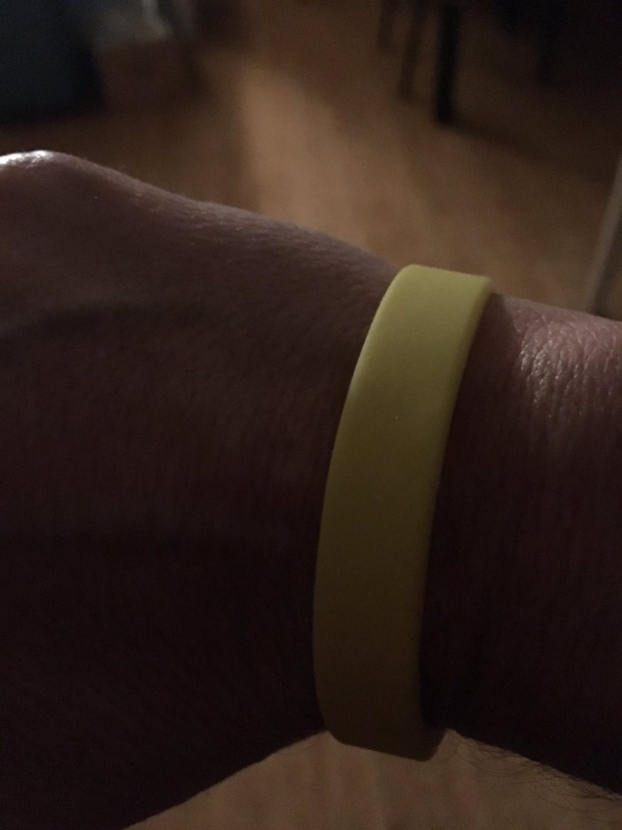 SaraFil's tweet photo. @ICARUSEU2020 @upcom_its @dimchapi @Garmin #ICARUSEU2020 https://t.co/cUB9Wm35AX
