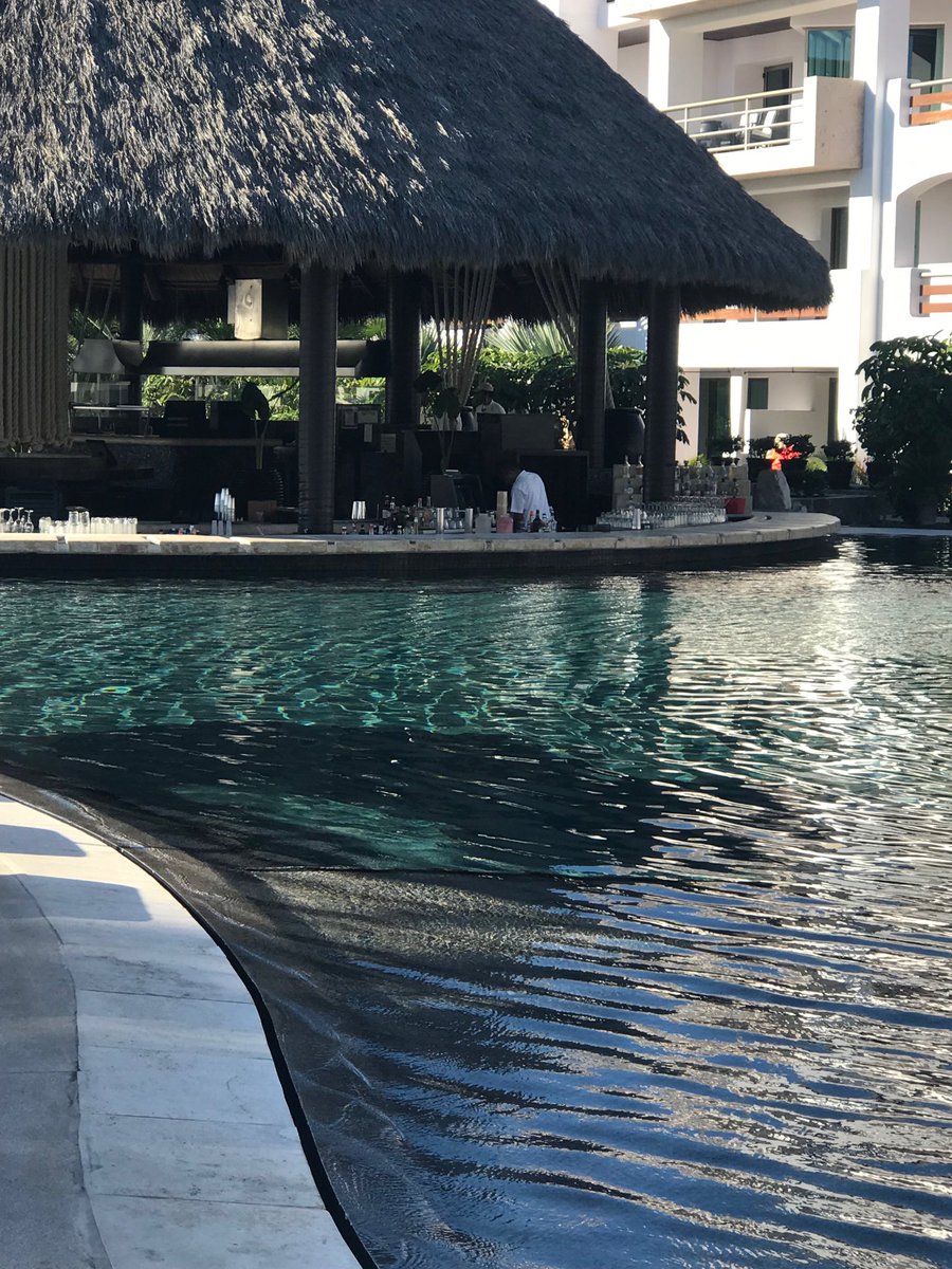 bkdavis's tweet photo. Just another day In paradise.   Thanks Diamond for this wonderful trip.   #whyareyounothere https://t.co/Zc3LBJ7E5K