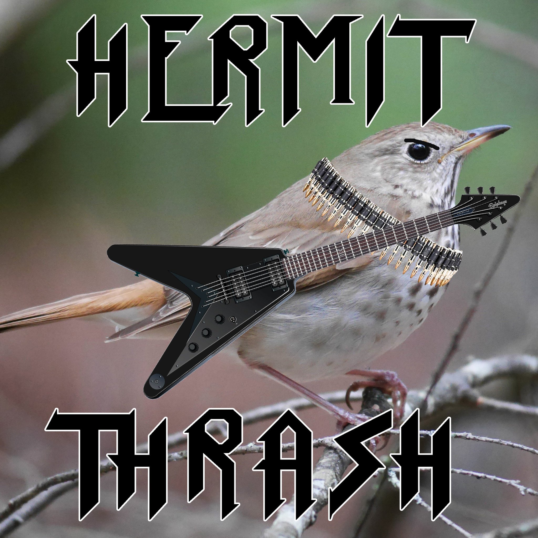 Rosemary Mosco Bird And Moon On Twitter Typoaspecies M M