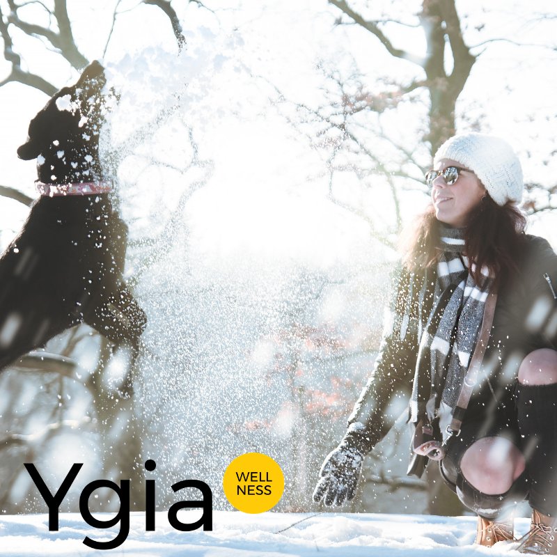 YGIAPro tweet picture