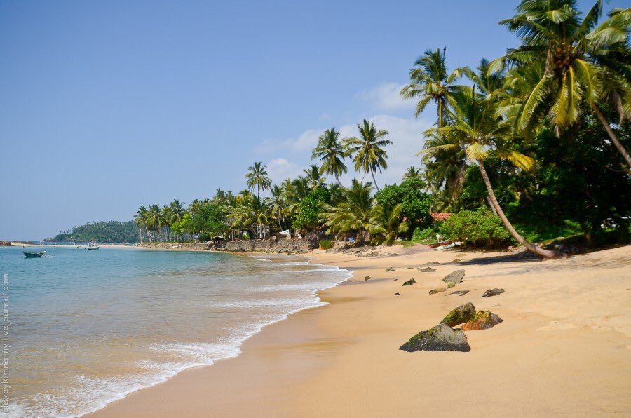 тур шри ланка декабрь