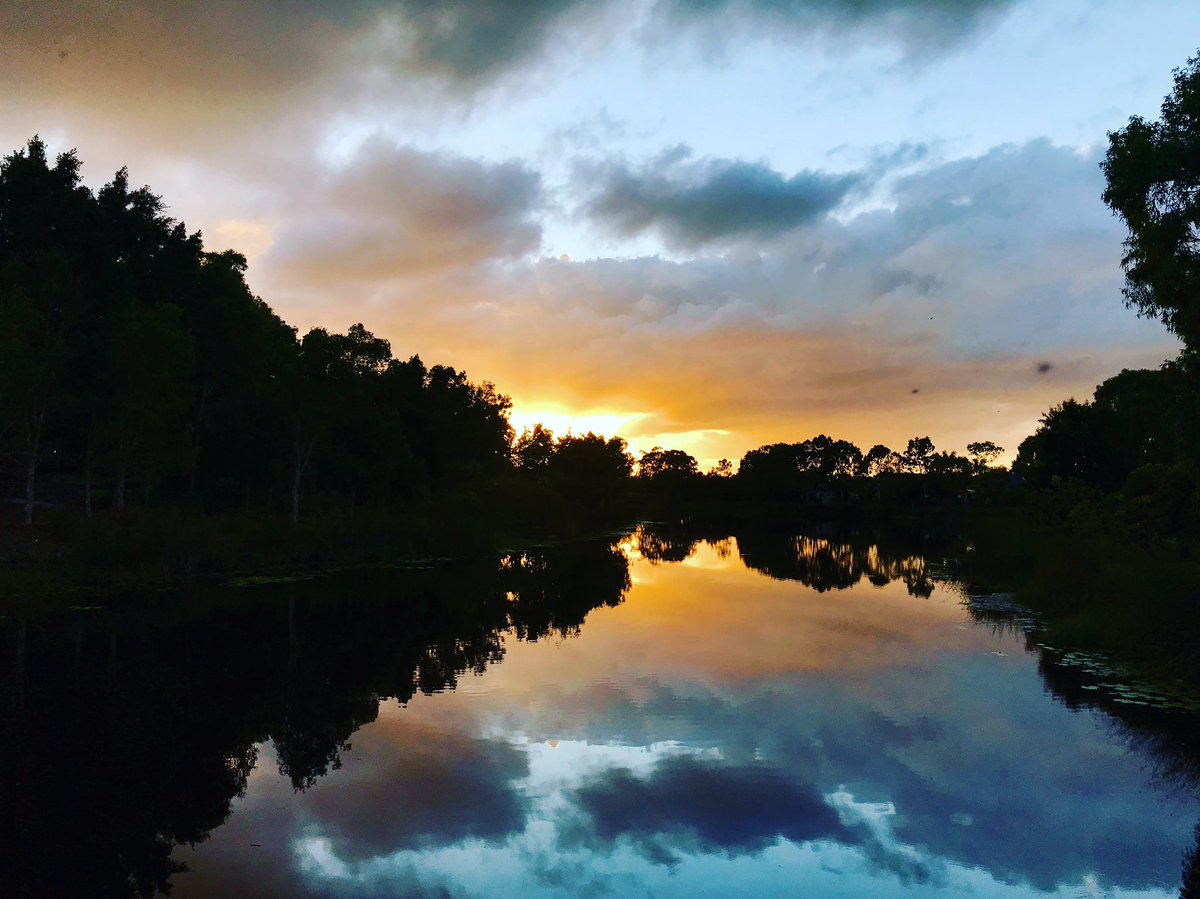 inelsamo's tweet photo. Good morning 😊 #inelsamo #queenslandsummer #livingthedream https://t.co/dkyqRbNAiI