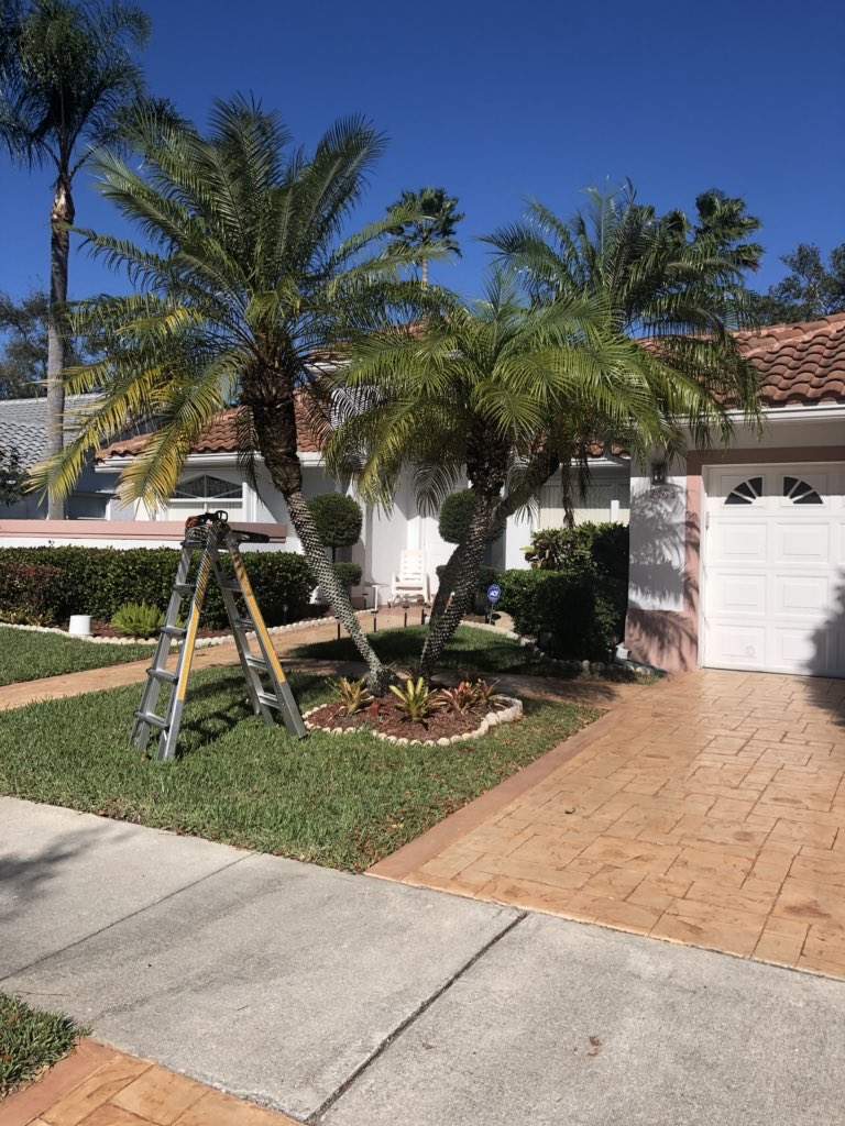 ALTreeCompany's tweet image. #ALTreeCompany