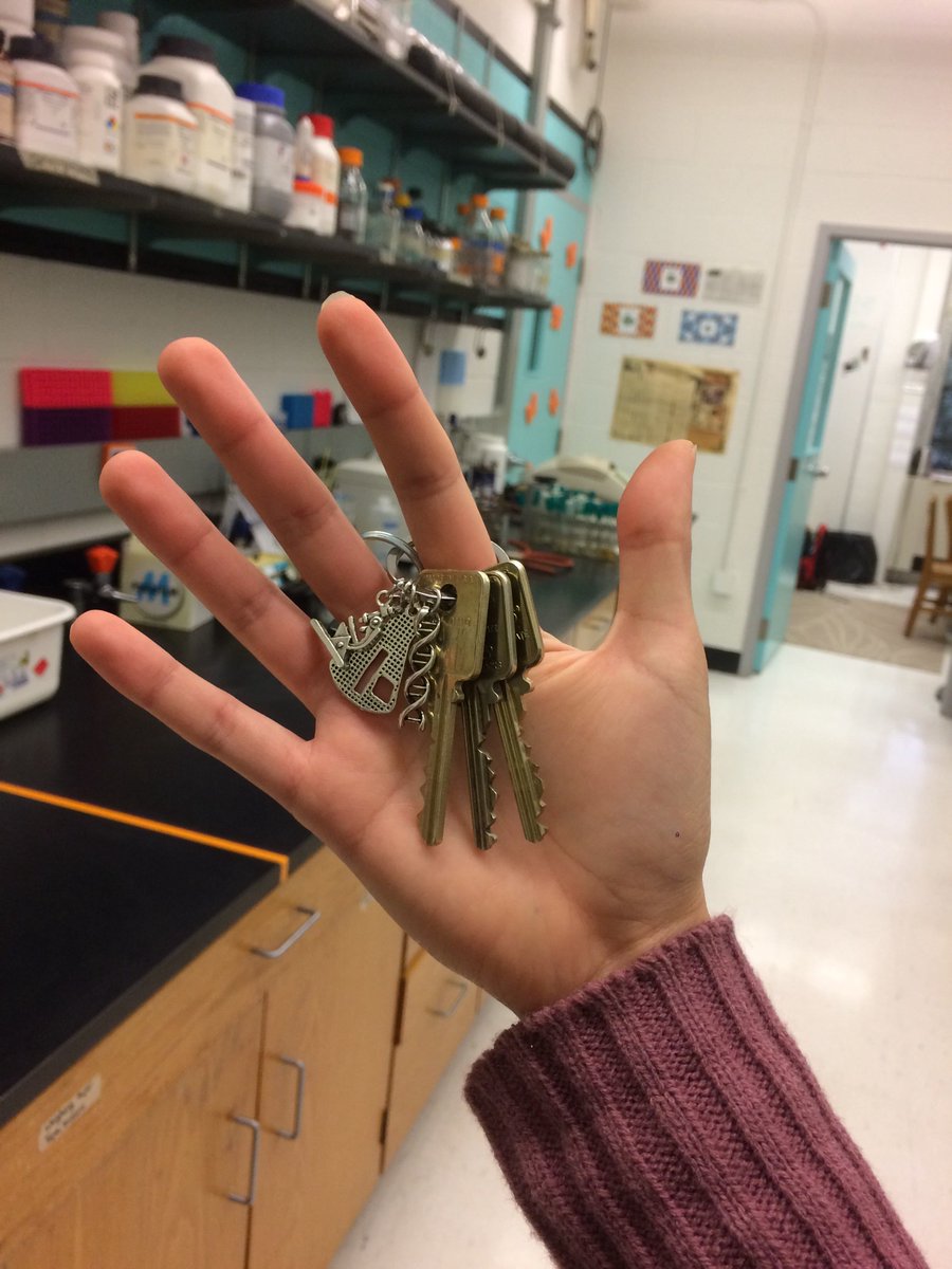 Clarapatraa's tweet image. ✔️ Lab keys 
✔️ Nerdy science keychain 
🔲 Awesome team members (apply here: goo.gl/forms/7anT3LYU…) 

Getting excited for #iGEM2019!