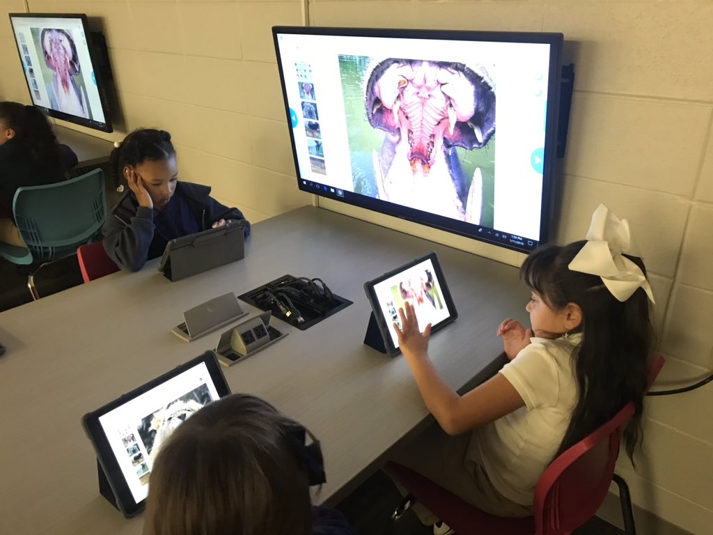 Amber Coggin tweet media