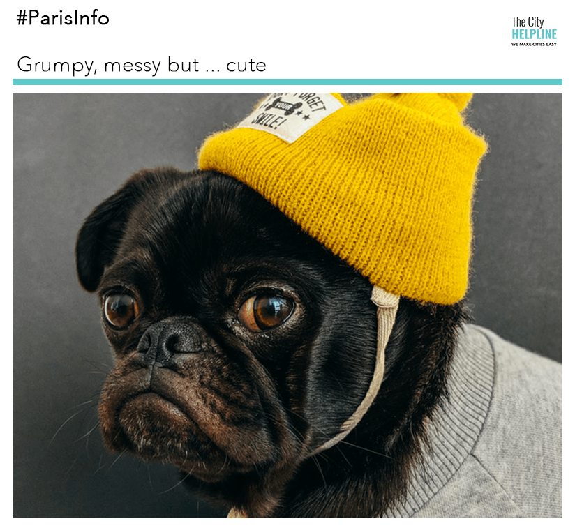 🚨 #France  #YellowVest #demonstrations update: It appears that the movement become more intense &amp; we are so very sorry for that. 
📣 Definitly avoid #LADEFENSE 
Be aware 📣 The #champselysees sector, will be closed from 6 a.m. 
Read our insta post: bit.ly/2RlsiJ1