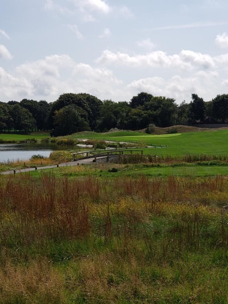 Mill Pond Golf Course (MillPondGolf) Twitter