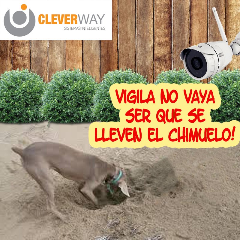 cleverway_stgo's tweet image. #FelizTarde #FelizFinde vigila lo que más aprecia con nuestras cámaras de vigilancia visítenos en cleverway.cl o llama al teléfono 229633800 / 226659890 / 996999999 - E-mail: clientes@cleverway.cl con gusto lo atenderemos! #Chimuelo #AdiosChimuelo #VuelaAltoChimuelo