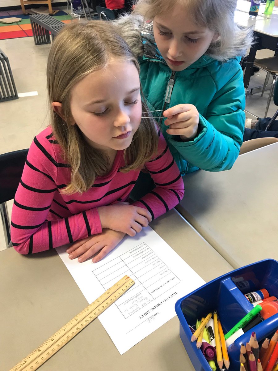 Ms. Beth Reilly tweet media