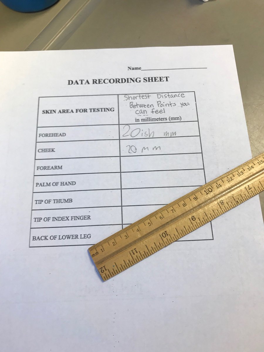 Ms. Beth Reilly tweet media