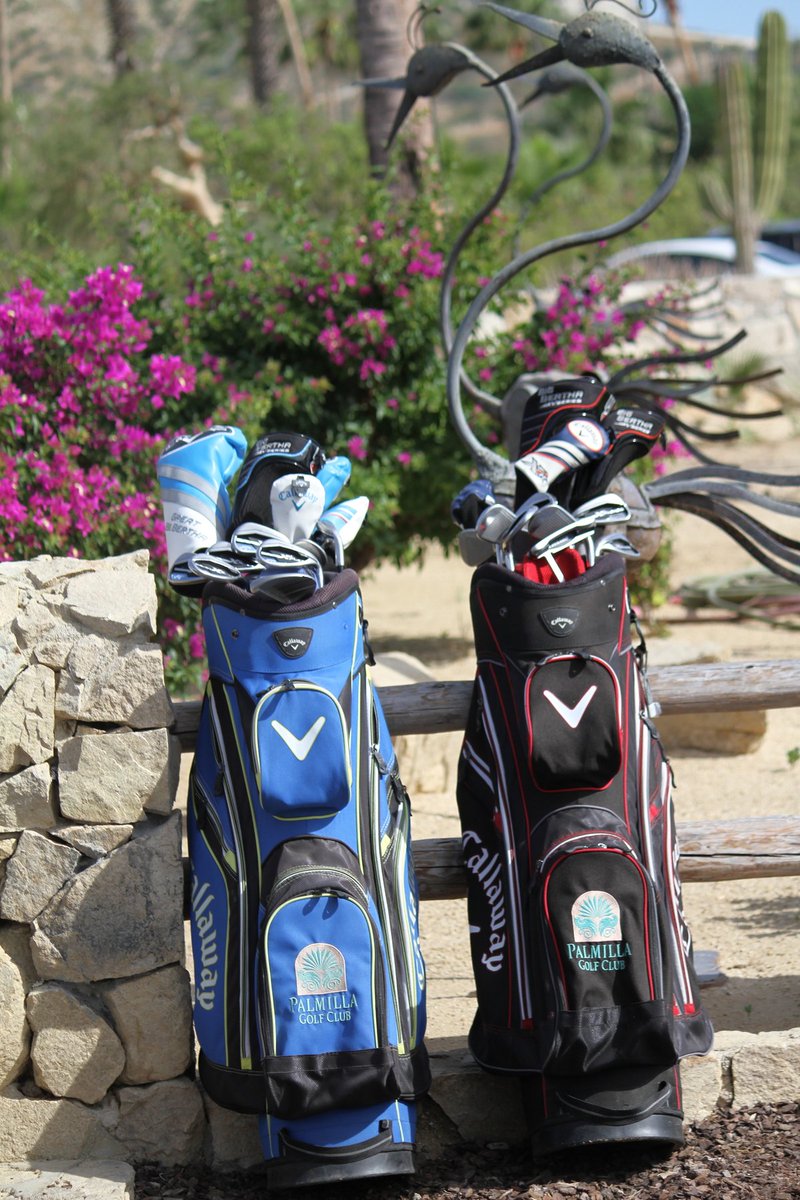 Palmilla Golf Club tweet media