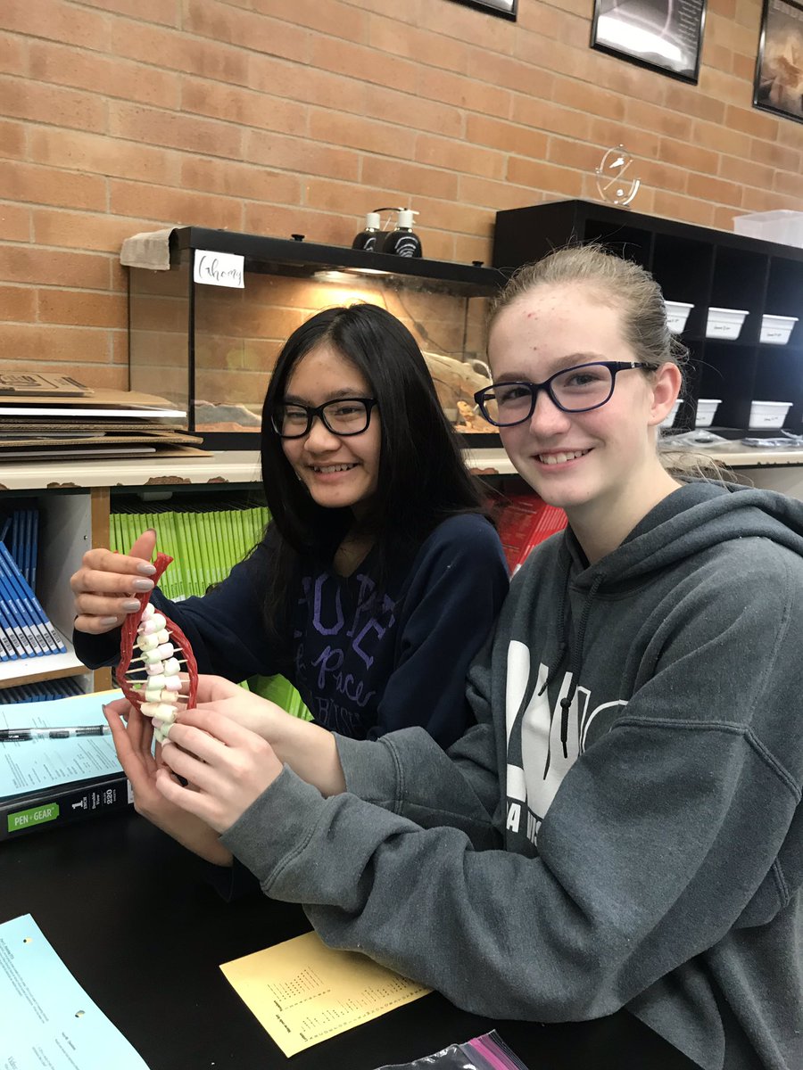 Mrs_Nevarez's tweet photo. Can you have your DNA and eat it too? You can if you are Developing and Models! #MRJH https://t.co/NFIPqJDf03
