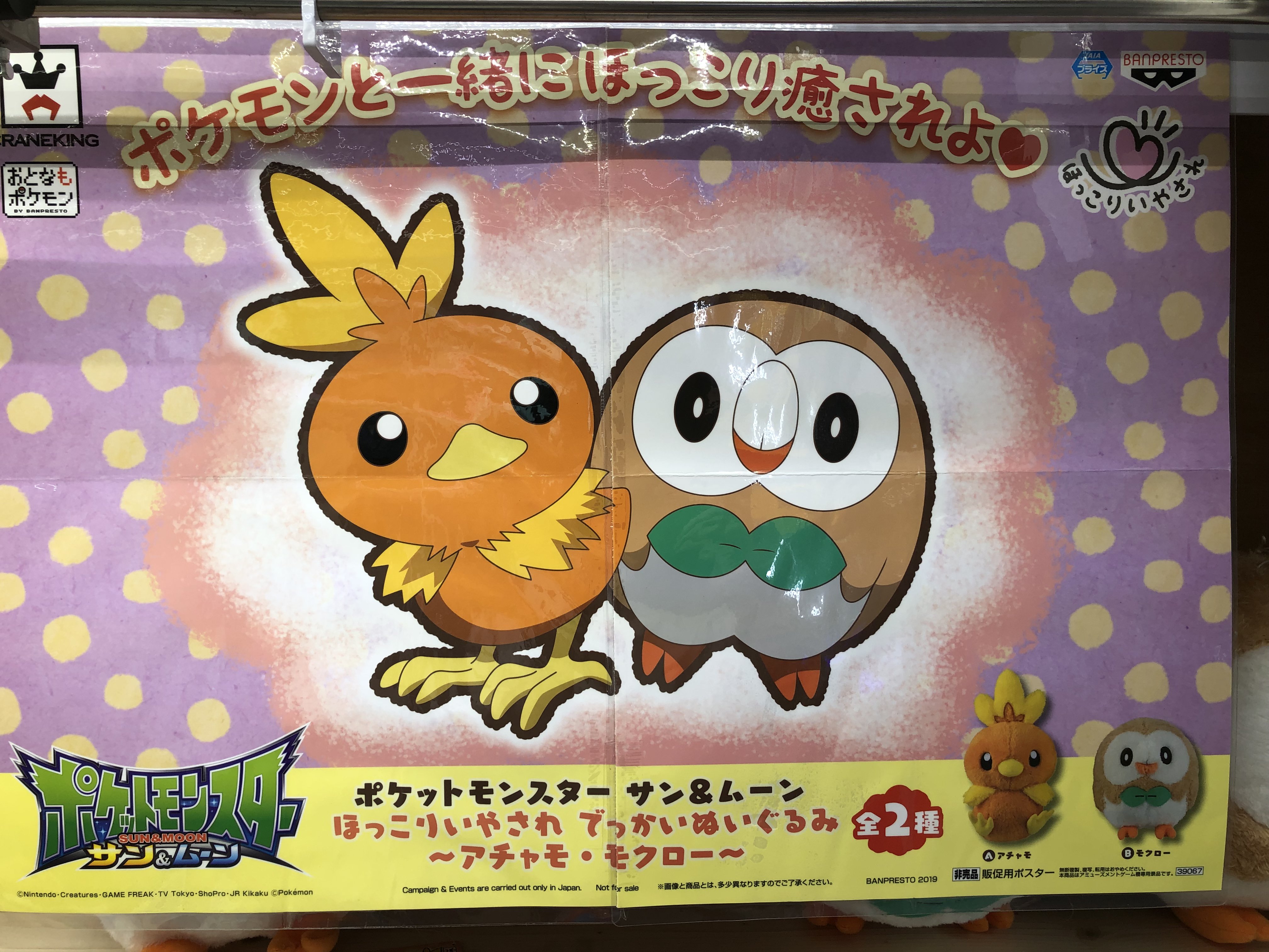 マンガ倉庫 都城店 アミューズ ポケットモンスター サン ムーン ほっこりいやされ でっかいぬいぐるみ アチャモ モクロー 入荷しております 艸 ストレートに可愛いね 進化するとたくましくなるからね W ラグラージとかね アチャモ
