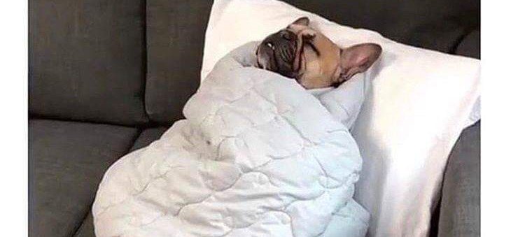 What are you doing tonight?

Me: