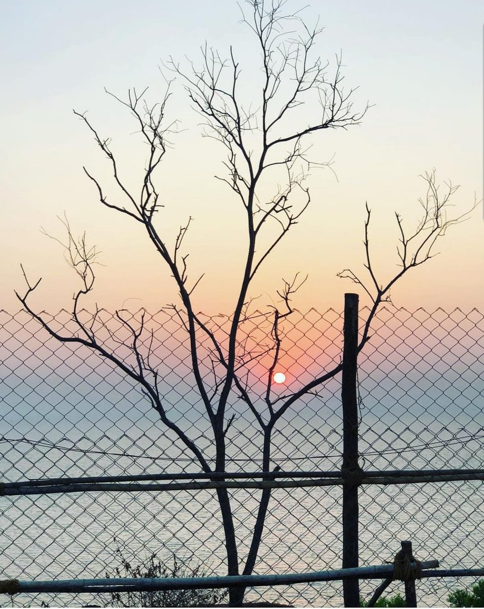 RupeshLenka's tweet photo. #iPhoneX 
#photography 
#Goa THROW BACK https://t.co/nSMsQLUDtG