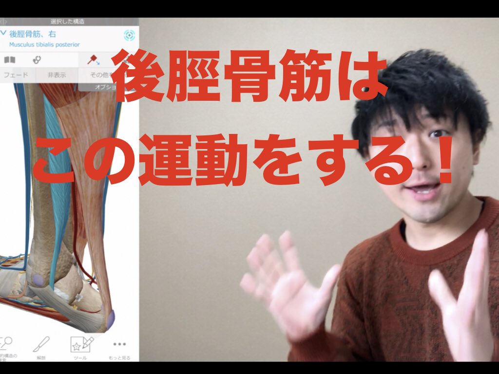 すなリハ 理学療法士youtuber 登録者9000人突破 در توییتر 扁平足のトレーニングは後脛骨筋だよ 扁平足のトレーニングは 筋 T Co 4mygi2rrcs Youtubeより リハビリ 扁平足 すなリハ 理学療法士youtuber 登録者9000人突破 در توییتر 扁平足のトレーニングは後脛骨筋だよ 扁平足のトレーニングは 筋 T Co 4mygi2rrcs Youtubeより リハビリ 扁平足