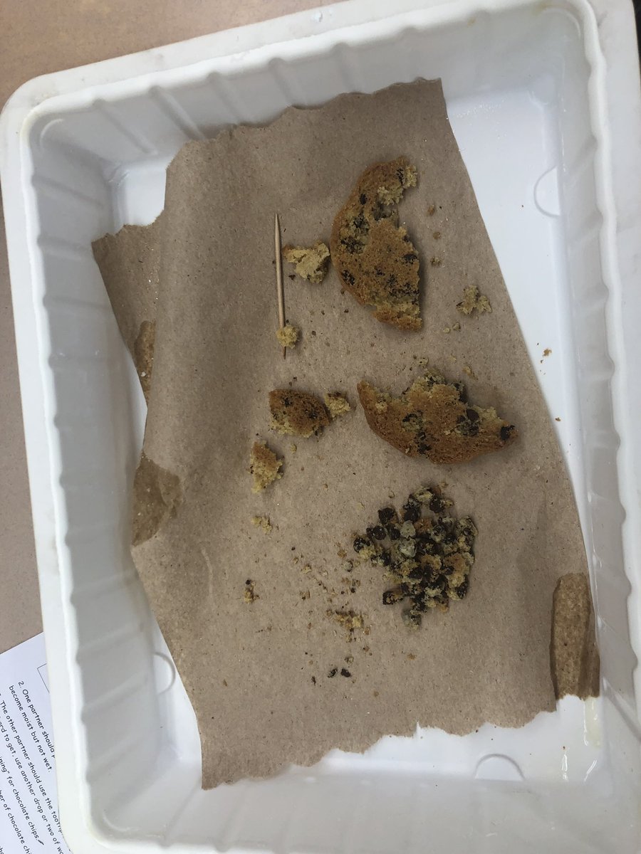MrsRSthirdgrade's tweet image. We’re learning about Earth’s resources and how we use them. Today’s experiment had us pretending to “mine” chocolate chips from cookies and exploring the leftovers. Next week, we learn how to take better care of our planet! #thirdgradescientists #engagedlearning