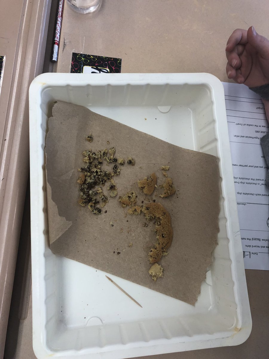 MrsRSthirdgrade's tweet image. We’re learning about Earth’s resources and how we use them. Today’s experiment had us pretending to “mine” chocolate chips from cookies and exploring the leftovers. Next week, we learn how to take better care of our planet! #thirdgradescientists #engagedlearning