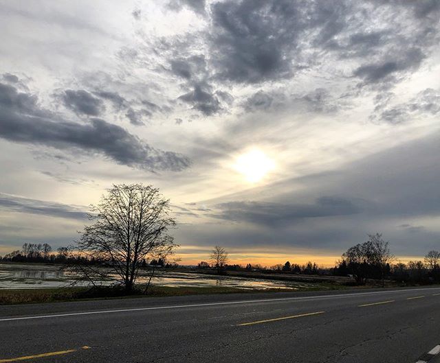 Socially_Monica's tweet photo. When itโs so beautiful you just have to pull over... ๐
#getoutside #explorebc #visitdelta #deltabc #riverroad #farmland #bcsunset #beautifulbc #chasingsunsets #roadtrip #sunset_love https://t.co/7ZRjUUJ8vy https://t.co/umoTVYg2Zp