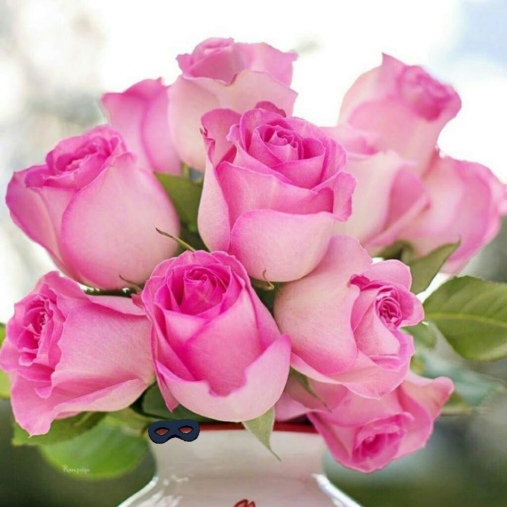 <a href="/Betho1311/">Elizabeth</a> Good night