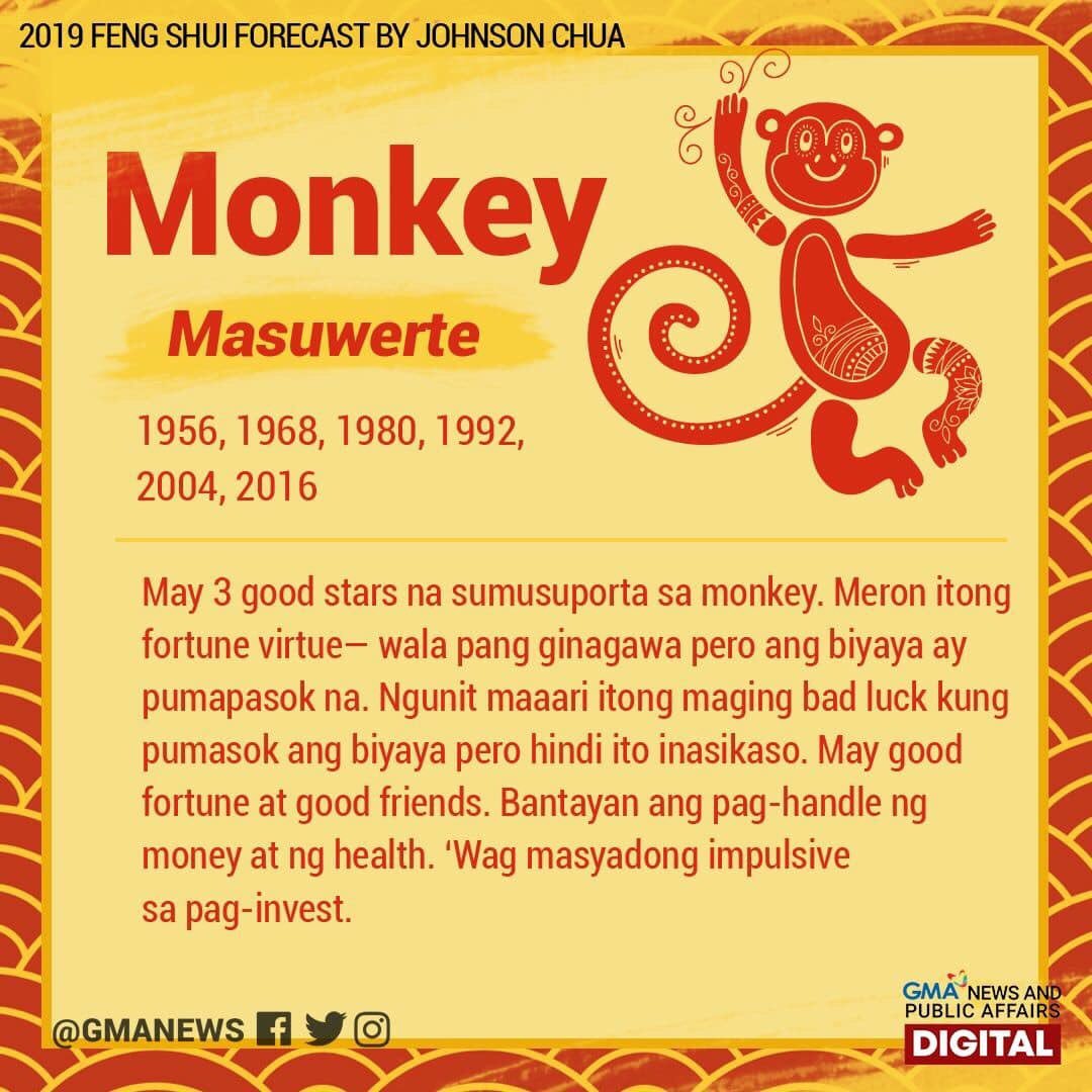 On Twitter Year Of The Snake Daddysgurlsuspetsa Mainemendoza On Twitter Year Of The Snake Daddysgurlsuspetsa Mainemendoza
