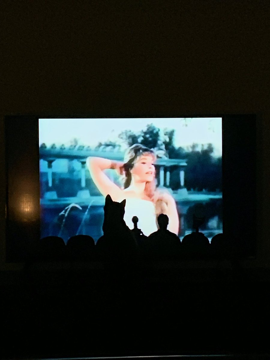 Angela Bauer tweet media