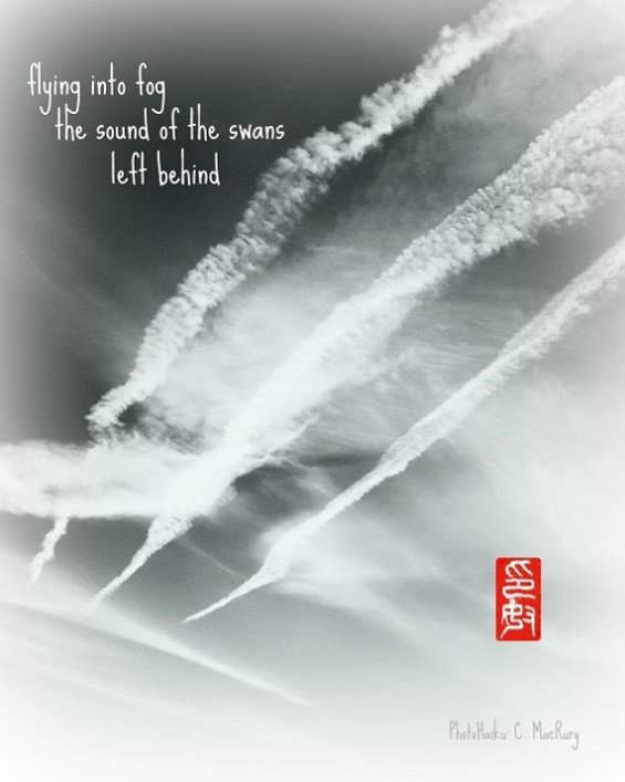 Carole MacRury (@carolemacr) on Twitter photo 