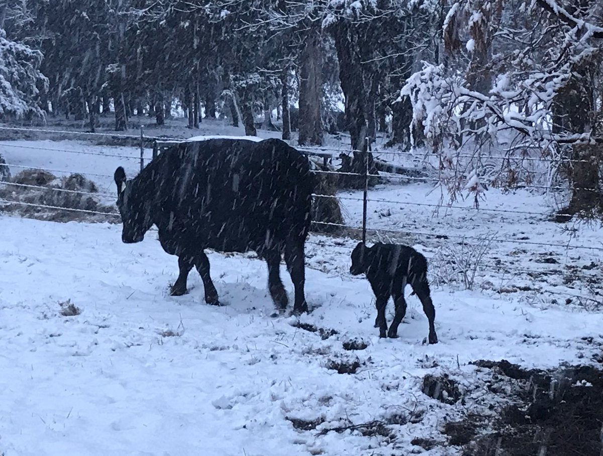 Jessica Craig tweet media