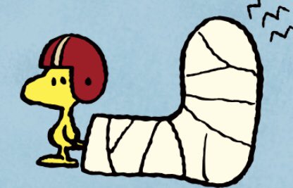 きっとアメフットのボール蹴っ飛ばして怪我したんだな
#ウッドストック #Woodstock #Peanuts