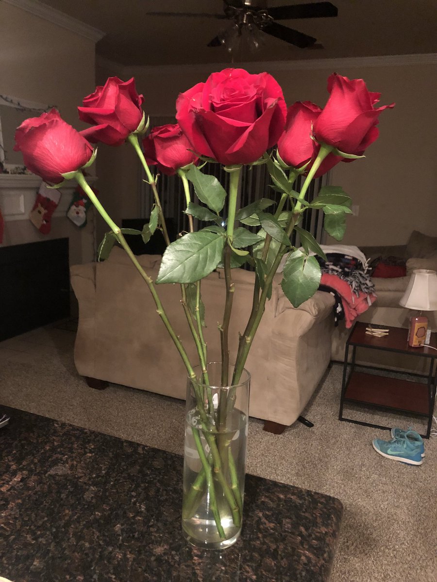JuliaRidenhour's tweet photo. 6 roses for 6 months 🌹 My bf is the sweetest! https://t.co/g3p9X65f4T