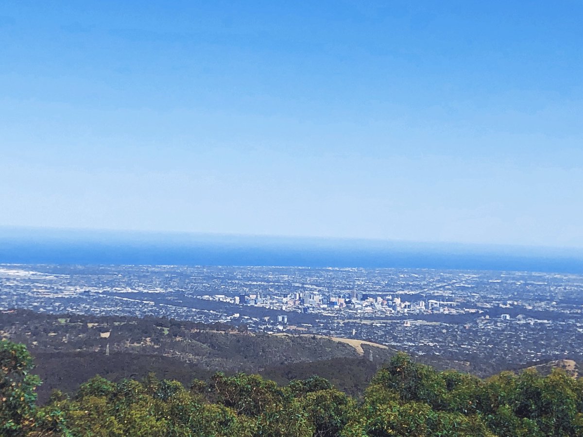 NyanwellAgoth's tweet photo. felt like I had left my lungs at First Falls but that feeling was soon remedied by a glimpse of our beautiful city and sight of a mother koala. https://t.co/kO7tXAl3eW